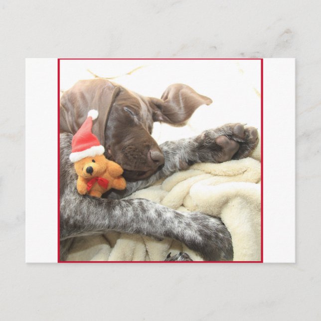 Cartes Pour Fêtes Annuelles Glossy Grizzly Christmas Pointer (Devant)