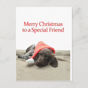 Cartes Pour Fêtes Annuelles Glossy Grizzly Special Friend Merry Christmas