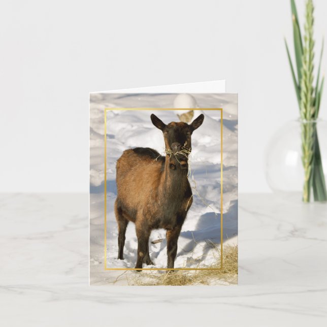 Cartes Pour Fêtes Annuelles Goat in the Snow Xmas (Devant)