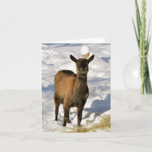 Cartes Pour Fêtes Annuelles Goat in the Snow Xmas