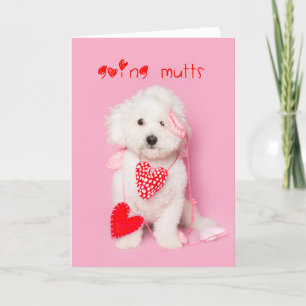 Cartes Pour Fêtes Annuelles Going Mutts chiot blanc valentine
