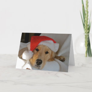 Cartes Pour Fêtes Annuelles Golden de Noël