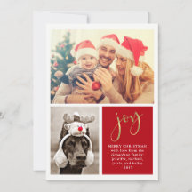 Golden Joy | Deux photos de Noël rouge