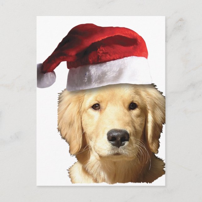 Cartes Pour Fêtes Annuelles Golden Retriever À Santa Hat (Devant)
