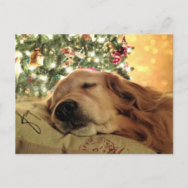 Cartes Pour Fêtes Annuelles Golden Retriever Asleep By Christmas Tree (Devant)
