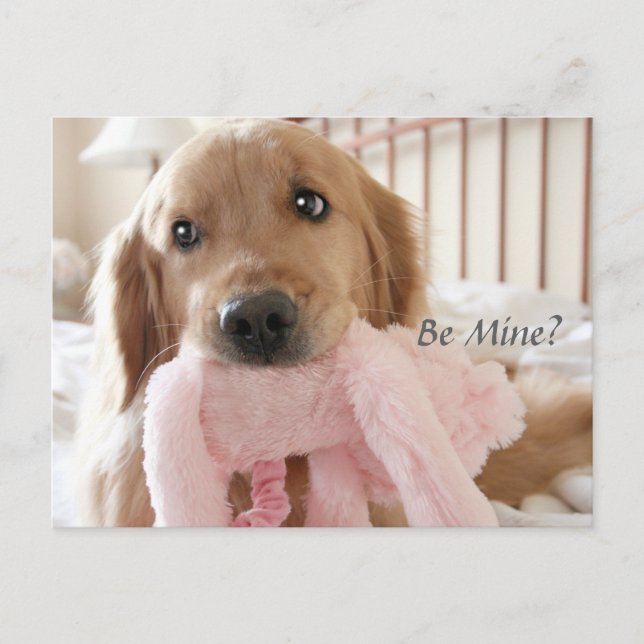 Cartes Pour Fêtes Annuelles Golden Retriever Be Mine Saint Valentin (Devant)