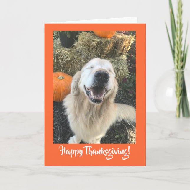 Cartes Pour Fêtes Annuelles Golden Retriever Chien avec Thanksgiving Citrouill (Devant)