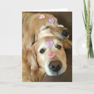 Cartes Pour Fêtes Annuelles Golden Retriever Chien Valentine Coeurs de convers