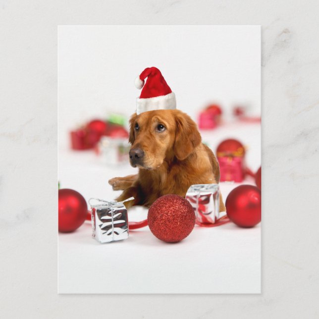 Cartes Pour Fêtes Annuelles Golden Retriever Chien W Red Santa Chapel Noël (Devant)