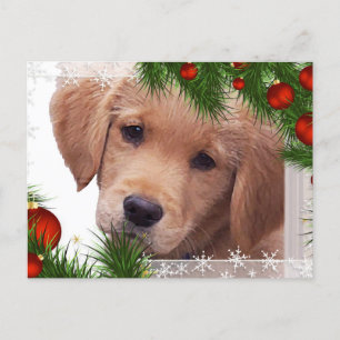 Cartes Pour Fêtes Annuelles Golden Retriever Christmas Card - Puppy Cute Dog