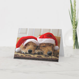 Cartes Pour Fêtes Annuelles Golden Retriever Christmas Dreams