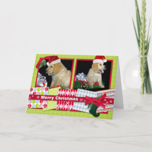 Cartes Pour Fêtes Annuelles Golden Retriever Christmas puppies