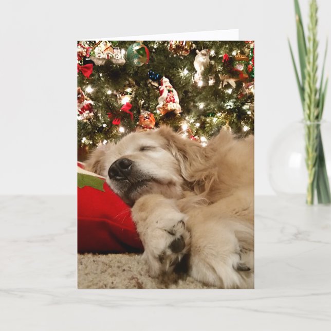 Cartes Pour Fêtes Annuelles Golden Retriever endormi sous l'arbre de Noël (Devant)