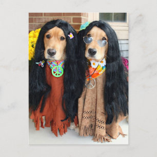 Cartes Pour Fêtes Annuelles Golden Retriever Halloween Hippie Postcard