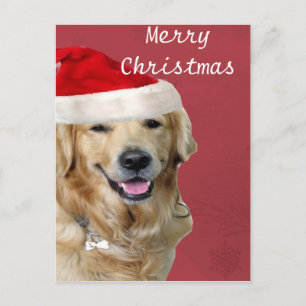 Cartes Pour Fêtes Annuelles Golden Retriever Merry Christmas