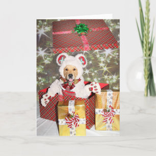 Cartes Pour Fêtes Annuelles Golden Retriever Teddy Bear Cadeau