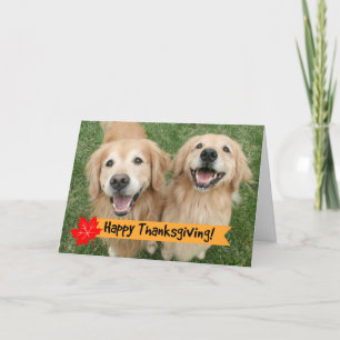 Cartes Pour Fêtes Annuelles Golden Retriever Thanksgiving Day Wings