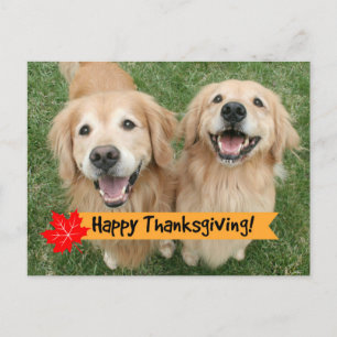 Cartes Pour Fêtes Annuelles Golden Retriever Thanksgiving Day Wings