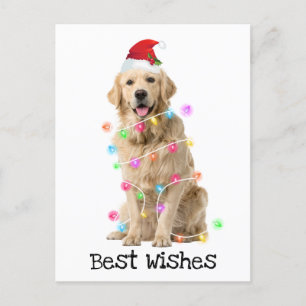 Cartes Pour Fêtes Annuelles Golden Retrior avec lumières de Noël