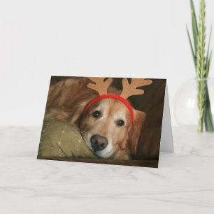Cartes Pour Fêtes Annuelles Golden Retrior Miss You Christmas