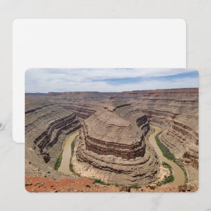 Cartes Pour Fêtes Annuelles Goosenecks