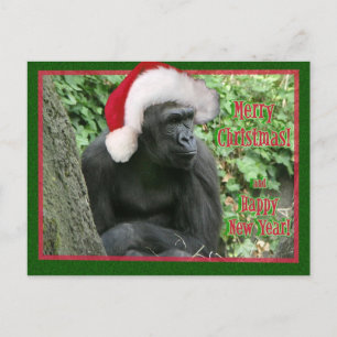 Cartes Pour Fêtes Annuelles Gorilla de Noël