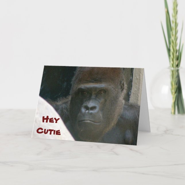 Cartes Pour Fêtes Annuelles GORILLA, HEY CUTIE VALENTINE card (Devant)