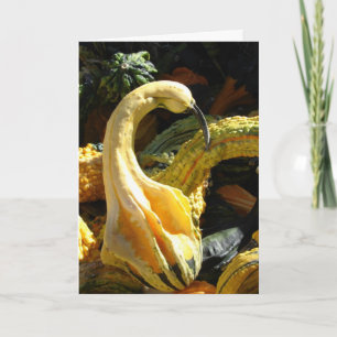 Cartes Pour Fêtes Annuelles Gourds, Remerciements à un ami