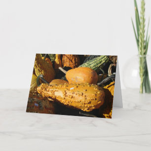 Cartes Pour Fêtes Annuelles Gourds, Thanksgiving