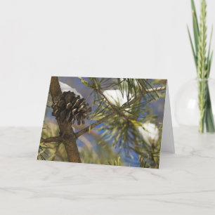 Cartes Pour Fêtes Annuelles Graines de l'arbre