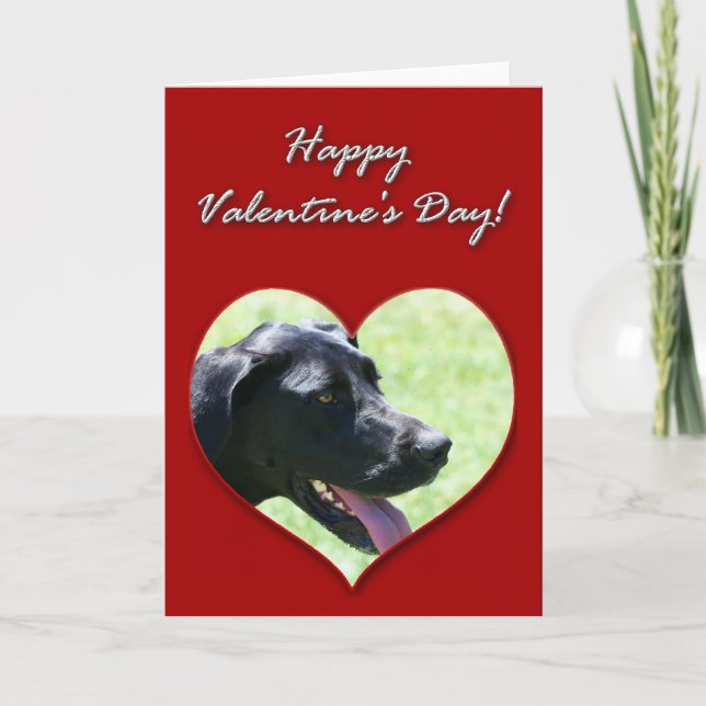 Cartes Pour Fêtes Annuelles Grand Dane Valentines Day (Devant)