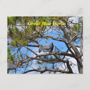 Cartes Pour Fêtes Annuelles Grand héron bleu