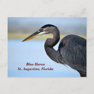 Cartes Pour Fêtes Annuelles Grand héron bleu
