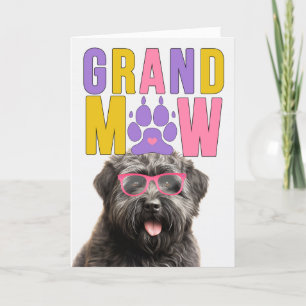 Cartes Pour Fêtes Annuelles Grand-MAW Bouvier Dog Funny Grand-parents Day