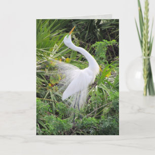 Cartes Pour Fêtes Annuelles Grande Danse d'amour d'Aiguille blanche
