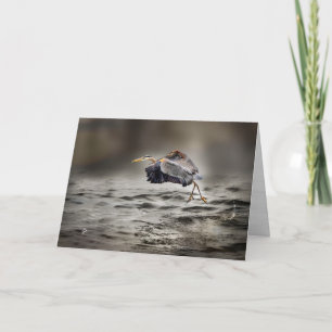 Cartes Pour Fêtes Annuelles Grande Héron Bleu Dansant Au-Dessus du Lac Vide