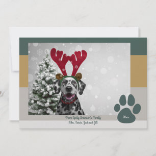 Cartes Pour Fêtes Annuelles Gras Moderne Animaux Amoureux Drôle Photo de Noël