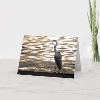 Cartes Pour Fêtes Annuelles Great Blue Heron Bird At Sunset Blank