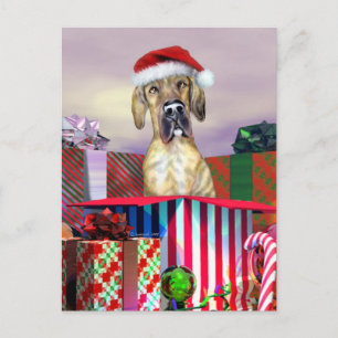 Cartes Pour Fêtes Annuelles Great Dane Christmas Surprise Brindle UC