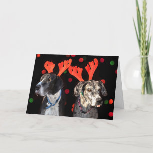 Cartes Pour Fêtes Annuelles Great dane masculin et femelle dans des