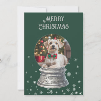 Cartes Pour Fêtes Annuelles Green Snowglobe Snowflake Photo Appartement de vac