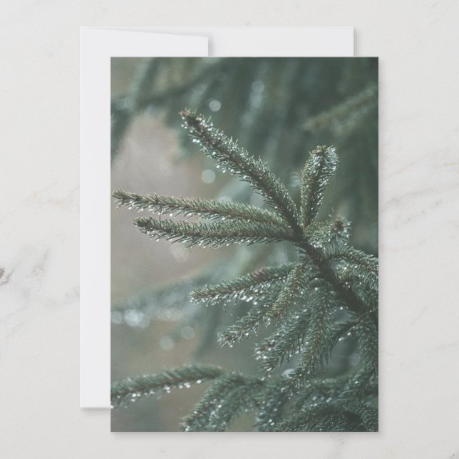 Cartes Pour Fêtes Annuelles Green spruce tree close-up, Christmas aesthetic (Devant)