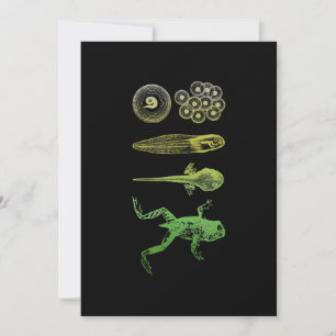 Cartes Pour Fêtes Annuelles Grenouille Tadpole Métamorphose Cycle de vie Biolo