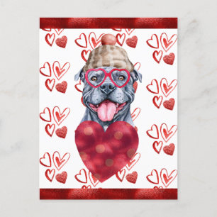 Cartes Pour Fêtes Annuelles Grey Pitbull Hearts Amoureux des chiens Valentine 