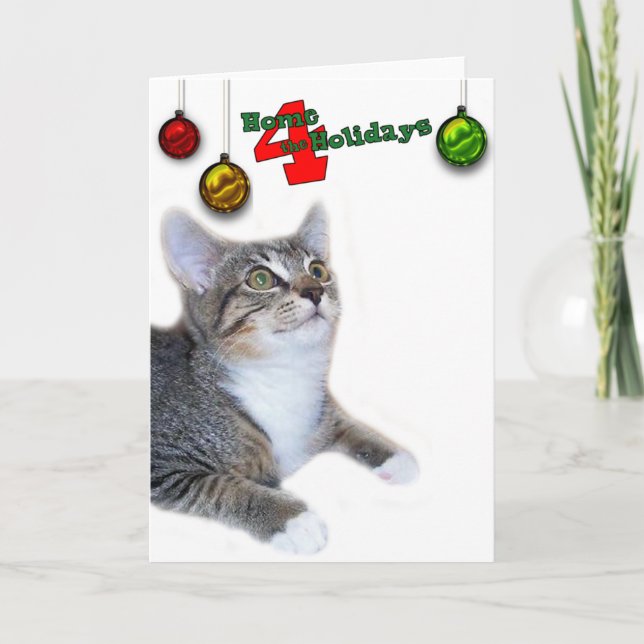 Cartes Pour Fêtes Annuelles Greyfoot Cat Rescue Home 4 (Devant)