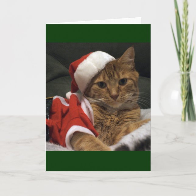 Cartes Pour Fêtes Annuelles Griffes de Père Noël (Devant)