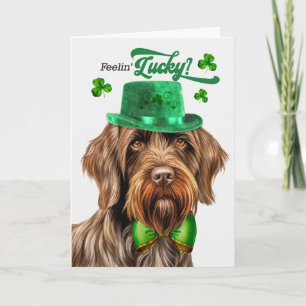 Cartes Pour Fêtes Annuelles Griffon à poil dur Saint-Patrick chanceux