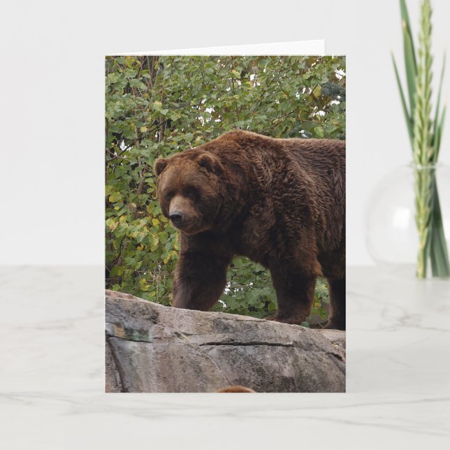Cartes Pour Fêtes Annuelles grizzly-bear-013 (Devant)