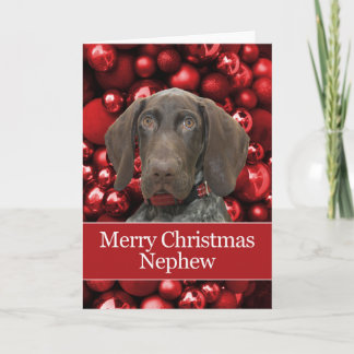 Cartes Pour Fêtes Annuelles Grizzly Nephew Joyeux Noël