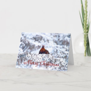 Cartes Pour Fêtes Annuelles Groupement dans un blizzard Joyeux Noël Card